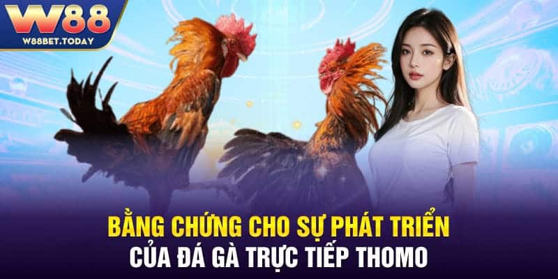 Bằng chứng cho sự phát triển của đá gà trực tiếp Thomo