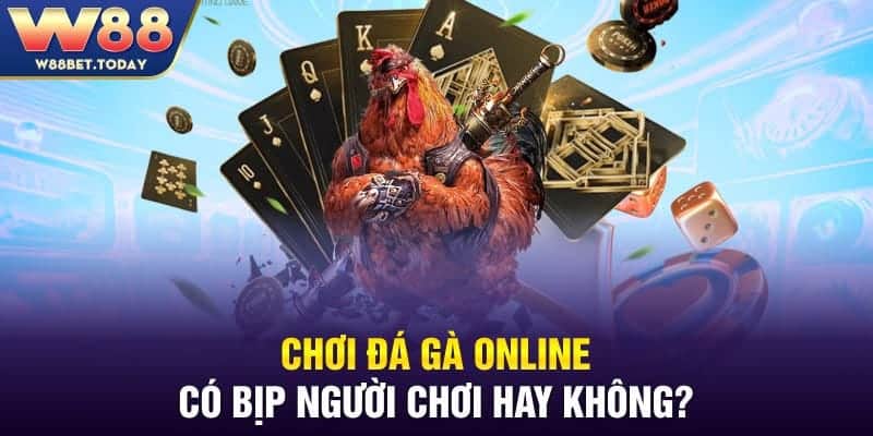 Chơi đá gà online có bịp người chơi hay không?