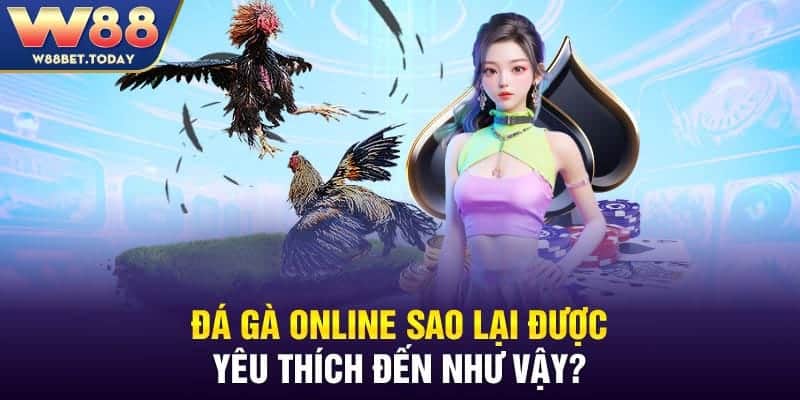 Đá gà online sao lại được yêu thích đến như vậy?