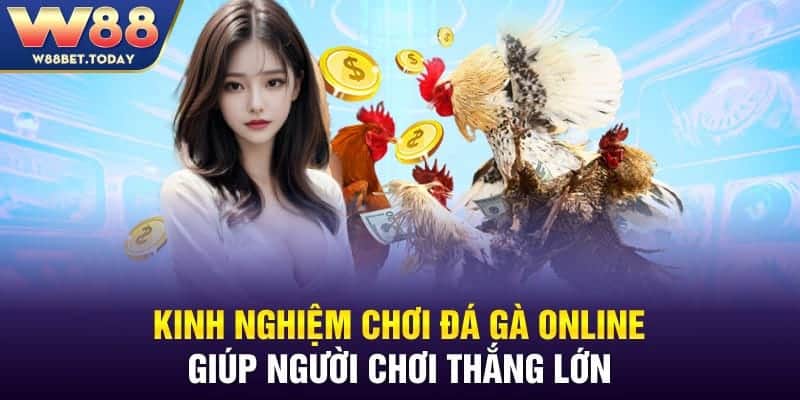 Kinh nghiệm chơi đá gà online giúp người chơi thắng lớn