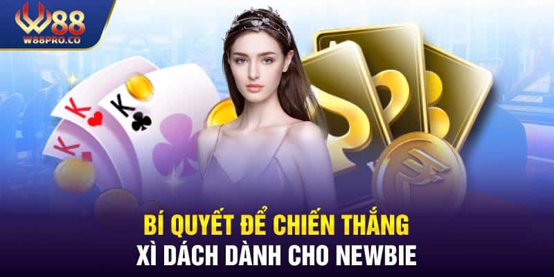 Bí quyết để chiến thắng xì dách ngay cả khi bạn là người mới