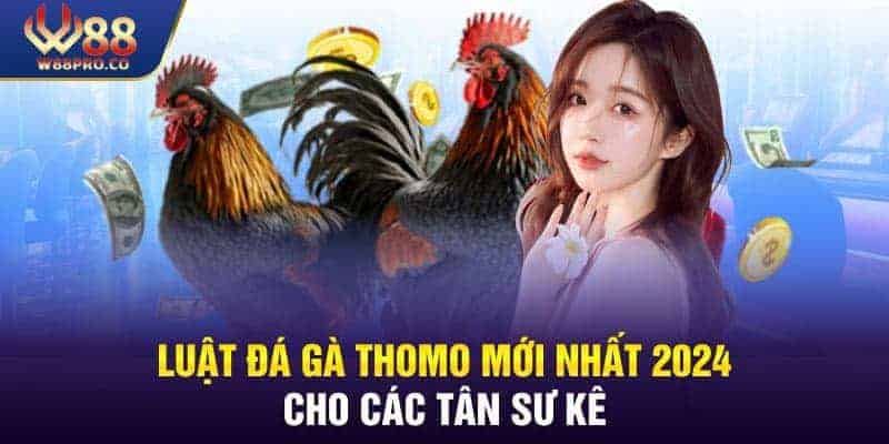 Luật chơi đá gà Thomo mới nhất 2024