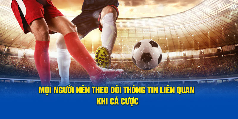 Mọi người nên theo dõi thông tin liên quan khi cá cược